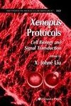 Xenopus Protocols