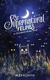 31 Supernatural Felines