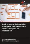 Padronanza del mobile: Navigare nel panorama dello sviluppo di Instasnap