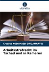 Arbeitsstrafrecht im Tschad und in Kamerun