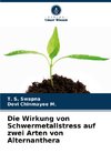 Die Wirkung von Schwermetallstress auf zwei Arten von Alternanthera