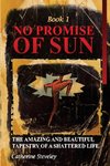 No Promise of Sun, Book 1