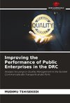 Improving the Performance of Public Enterprises in the DRC