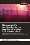 Management's contribution to the creation of a micro-hydropower plant