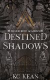 Destined Shadows