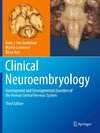 Clinical Neuroembryology