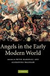 Angels in the Early Modern World