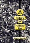 In The Streets Of Vinegar Hill