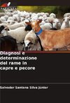 Diagnosi e determinazione del rame in capre e pecore