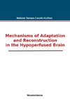 Mechanisms of Adaptation and Reconstruction in the Hypoperfused Brain