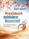 Praxisbuch molekularer Wasserstoff