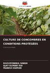 CULTURE DE CONCOMBRES EN CONDITIONS PROTÉGÉES