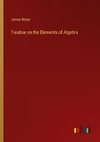 Treatise on the Elements of Algebra