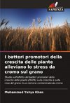 I batteri promotori della crescita delle piante alleviano lo stress da cromo sul grano