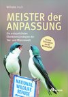 Meister der Anpassung