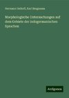 Morphologische Untersuchungen auf dem Gebiete der indogermanischen Sprachen