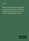 Über die Pycnogoniden des Königl. Zoologischen Museums in Berlin, insbesondere über die von S. M. S. 'Gazelle' mitgebrachten Arten