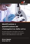 Identificazione e quantificazione del citomegalovirus dalla saliva