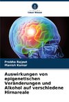 Auswirkungen von epigenetischen Veränderungen und Alkohol auf verschiedene Hirnareale