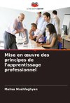 Mise en ¿uvre des principes de l'apprentissage professionnel