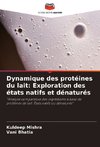 Dynamique des protéines du lait: Exploration des états natifs et dénaturés