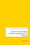 Aspects de la phonologie lexicale et syntagmatique du Missong