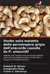 Studio sulla malattia della peronospora grigia dell'anacardo causata da P. anacardii