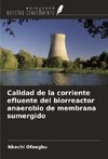 Calidad de la corriente efluente del biorreactor anaerobio de membrana sumergido