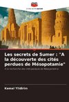 Les secrets de Sumer : 