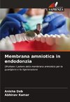 Membrana amniotica in endodonzia