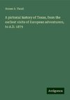 A pictorial history of Texas, from the earliest visits of European adventurers, to A.D. 1879