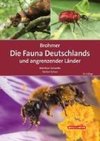 Brohmer - Die Fauna Deutschlands und angrenzender Länder