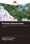 Pivoine arborescente