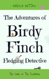 The Adventures of Birdy Finch, Fledgling Detective