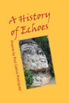 A History of Echoes