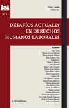 Desafíos actuales en derechos humanos laborales