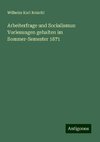 Arbeiterfrage und Socialismus: Vorlesungen gehalten im Sommer-Semester 1871