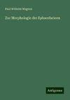 Zur Morphologie der Sphacelarieen