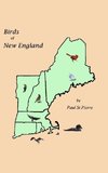 Birds of New England