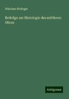 Beiträge zur Histologie des mittleren Ohres