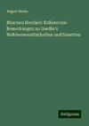 Minchen Herzlieb: Erläuternde Bemerkungen zu Goethe's Wahlverwandtschaften und Sonetten