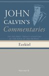 Commentaries on the First Twenty Chapters of the Book of the Prophet Ezekiel, Volume 2