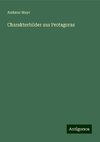 Charakterbilder aus Protagoras