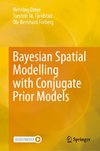 Bayesian Spatial Modelling with Conjugate Prior Models