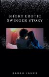 Short Erotic Story