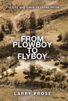 From Plowboy to Flyboy