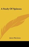 A Study Of Spinoza