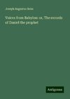 Voices from Babylon: or, The records of Daniel the prophet