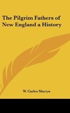 The Pilgrim Fathers of New England a History