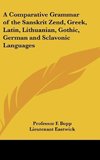 A Comparative Grammar of the Sanskrit Zend, Greek, Latin, Lithuanian, Gothic, German and Sclavonic Languages